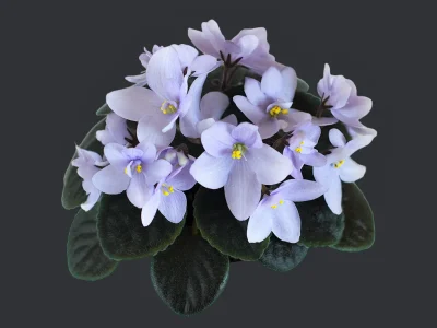 Allegro Chicory Charm (J.Stromborg)