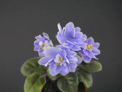 Н-Озеро (Н. Бердникова)